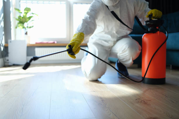 Reliable Biohazard contractor in California Hot Springs, CA by Crime Scene Cleaner Online